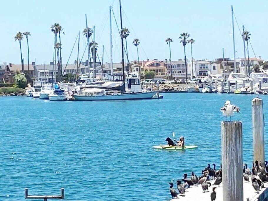 Gateway To Oxnard Beach Екстер'єр фото